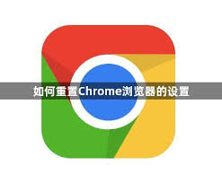google-12